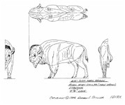 Gordon Stiller Wildlife Patterns for Carvers 